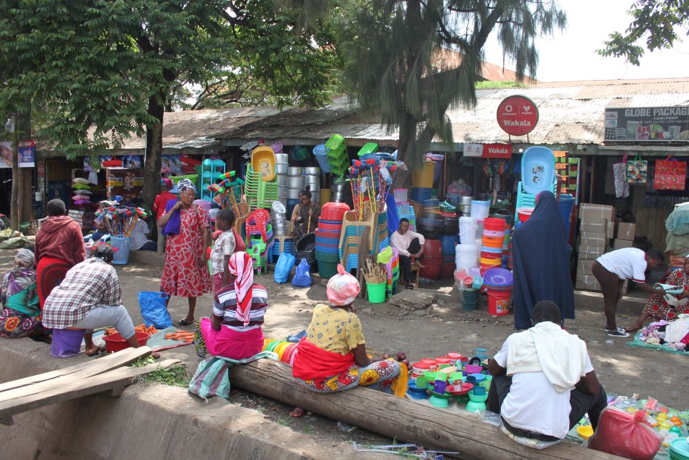 town tour arusha with opengate voluteering and travel
